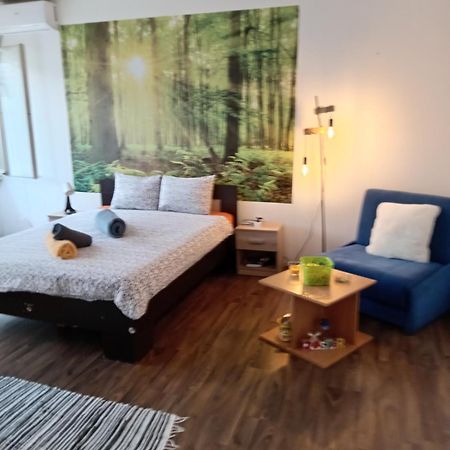 Car Lazar Apartment ベオグラード エクステリア 写真