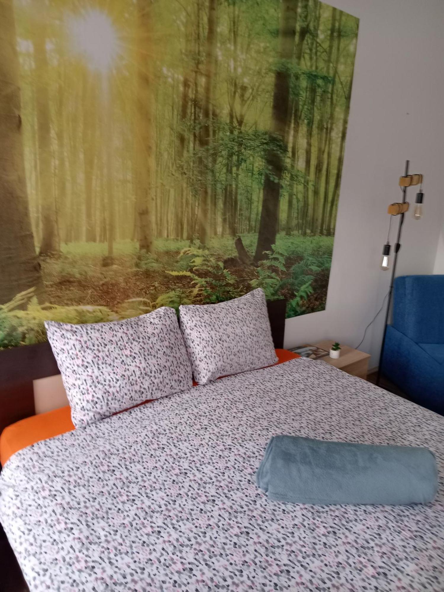 Car Lazar Apartment ベオグラード エクステリア 写真