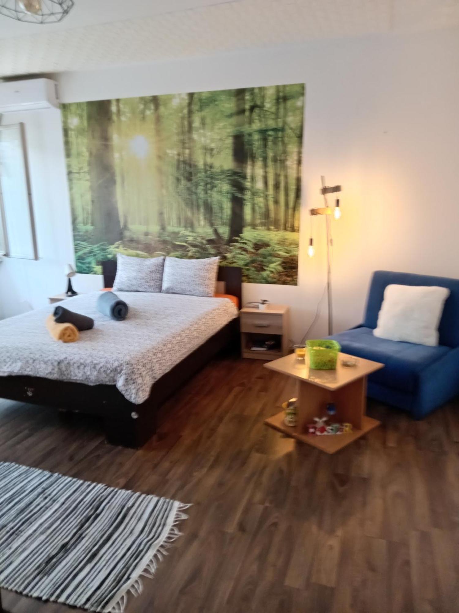 Car Lazar Apartment ベオグラード エクステリア 写真